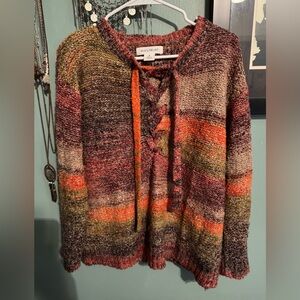 Skye's the Limit V-Neck braided Sweater in Earthy Tones